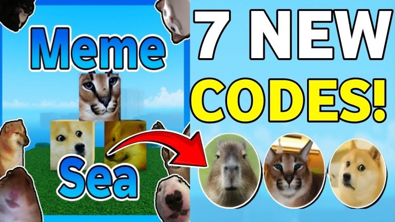 Cách nhận thêm code Meme Sea Wiki mới nhất 2024